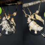 mantide-geschlechter-lupe1