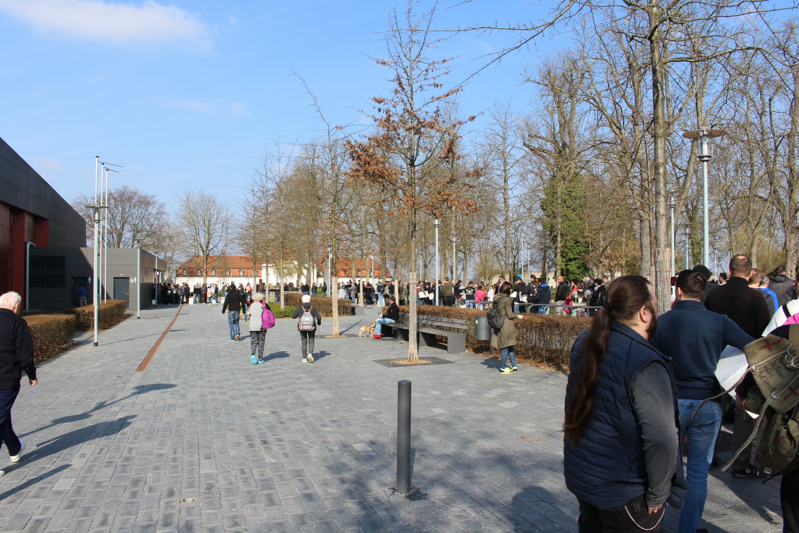 vogelspinnenbc3b6rse-marbach