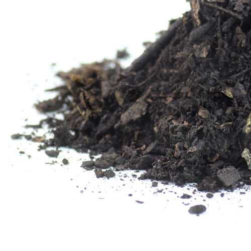 Waldhumus Insektenliebe