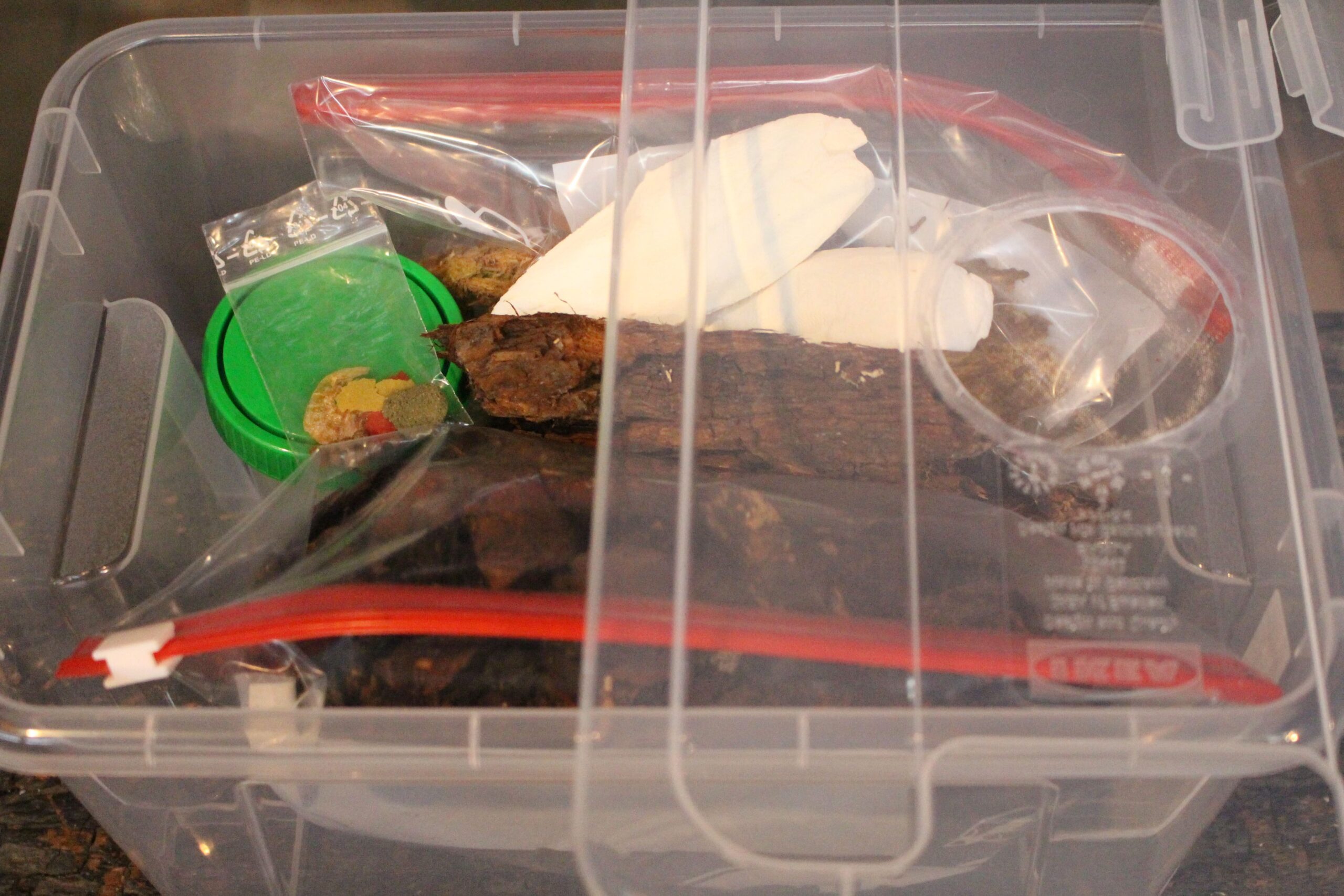 Insektenliebe Assel-Komplettset