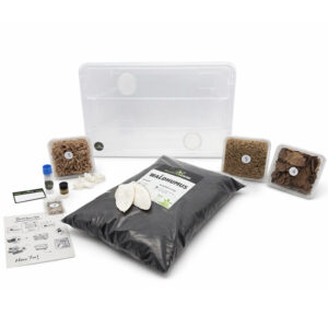 Insektenliebe Assel-Komplettset L