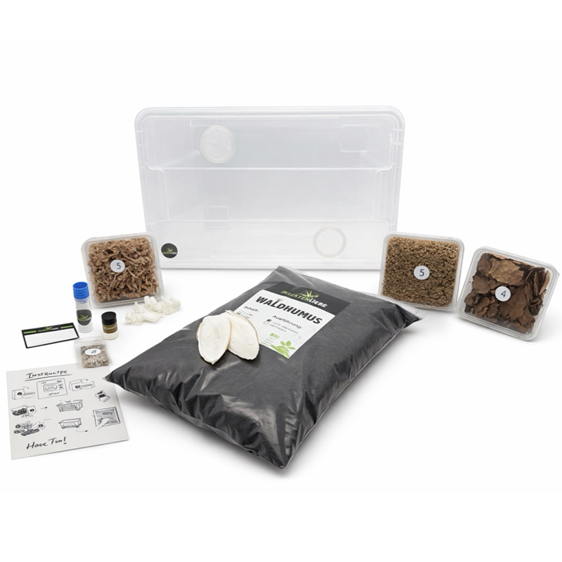 Insektenliebe Assel-Komplettset L