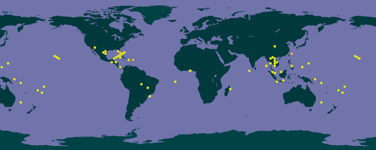Herkunft Cubaris murina
