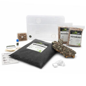 Insektenliebe Tausendfüßer-Komplettset