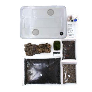 Insektenliebe-Tausendfuesser-Komplettset