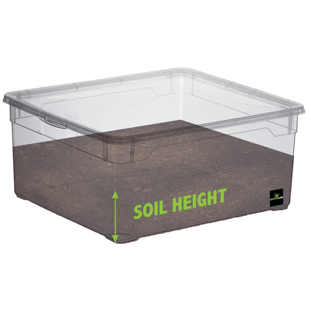 Substrate Calculator Insektenliebe