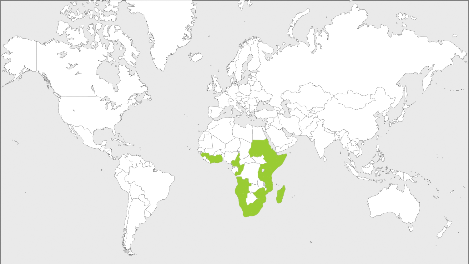 Phyllocrania paradoxa-Herkunft