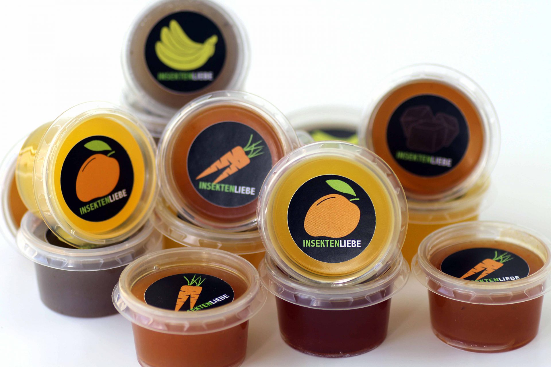 Beetle Jelly ein ganz einfaches Rezept