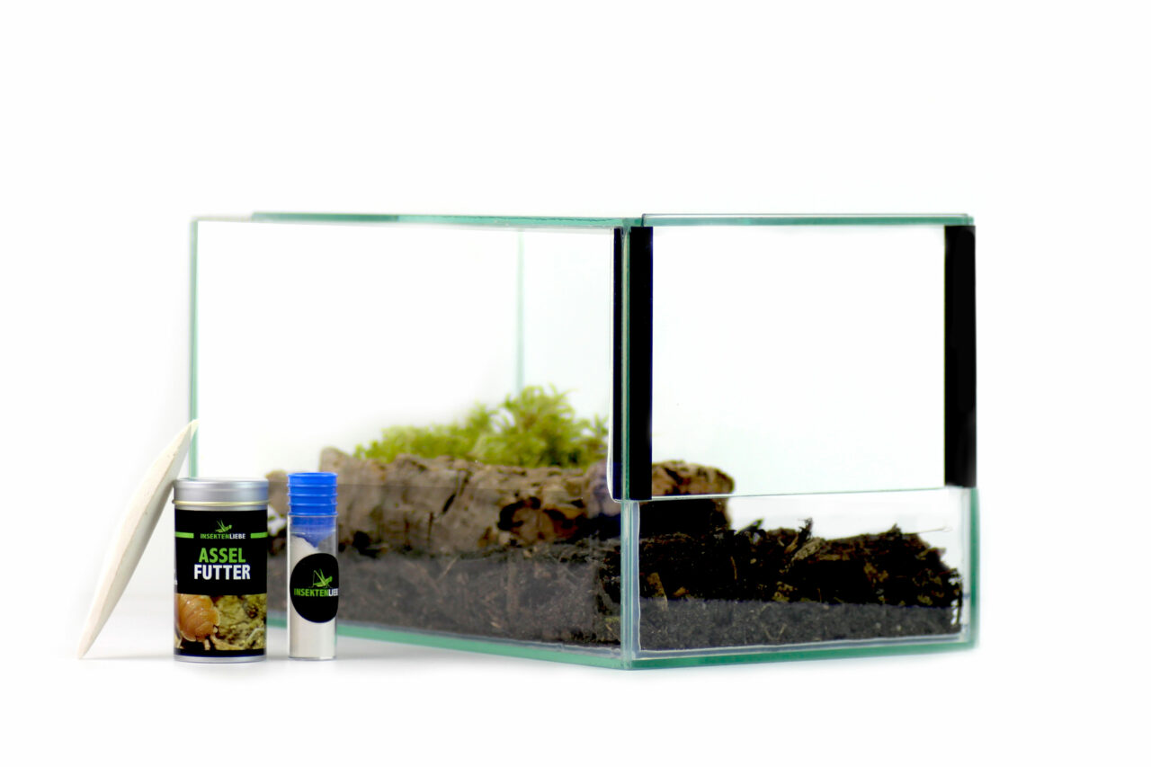 Isopod Terrarium Set Insektenliebe