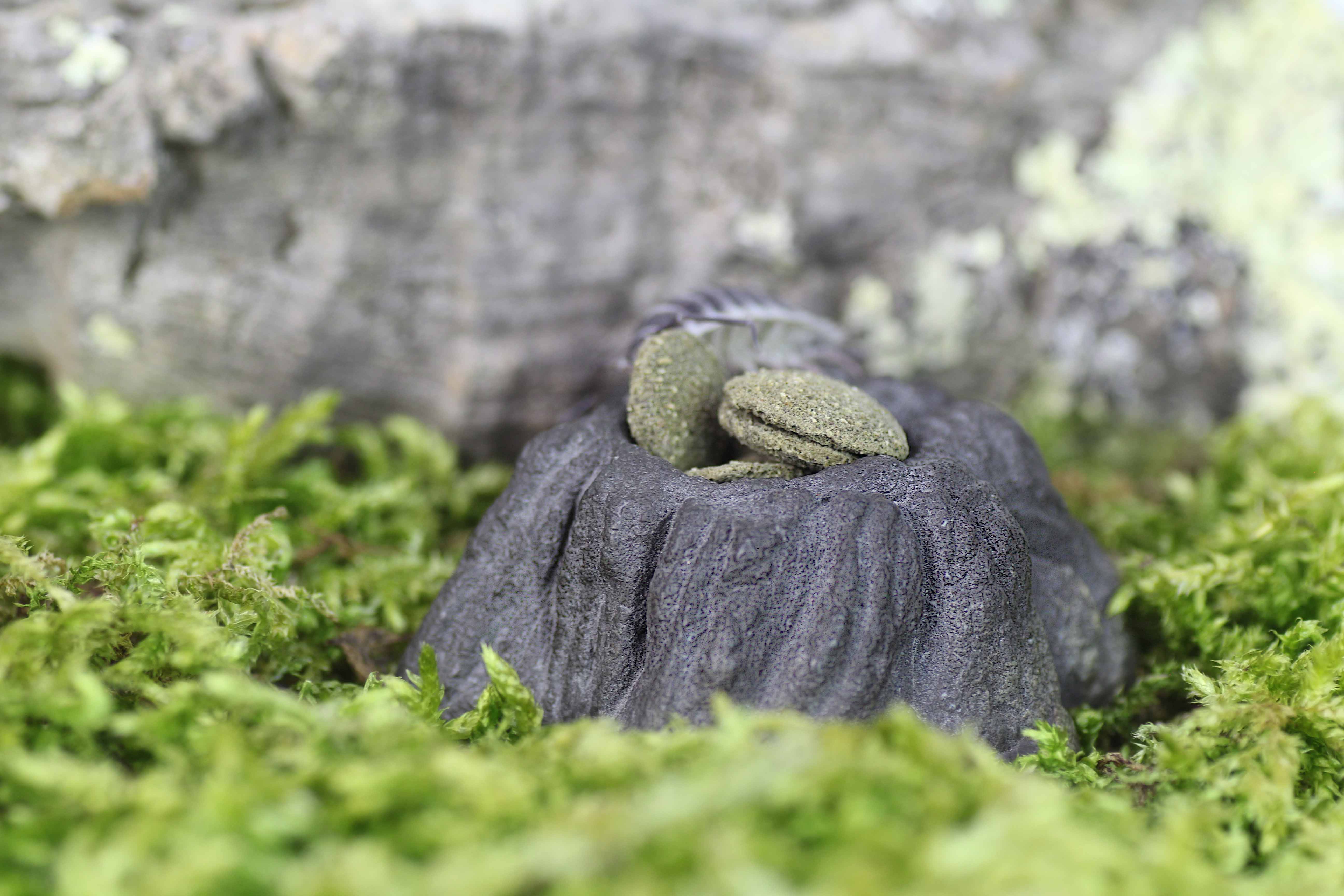 Futterschale im Einsatz