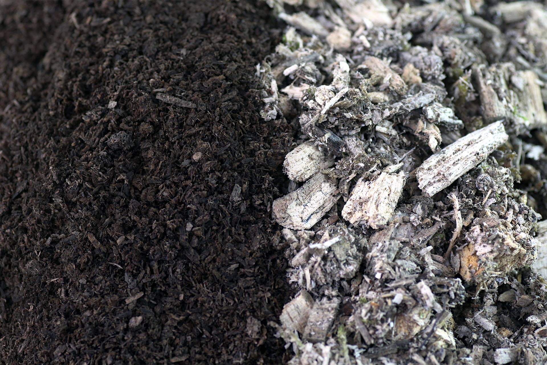 Weissfaules Holz, Flake Soil