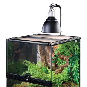 Exo-Terra-Light-Bracket-Anwendung