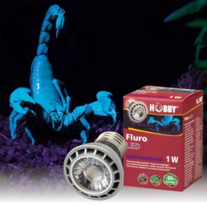 Hobby Fluro LED