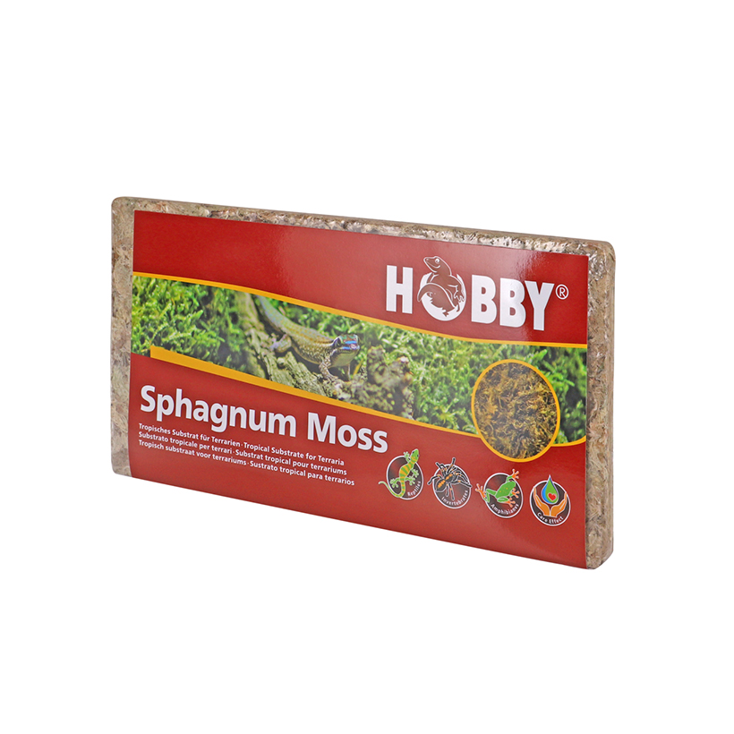 Terrarium Sphagnum Moss