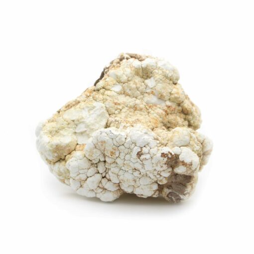 Cauliflower stone