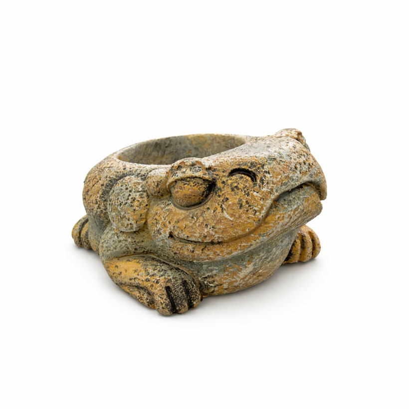 Exo Terra Azteken Frosch Wassernapf