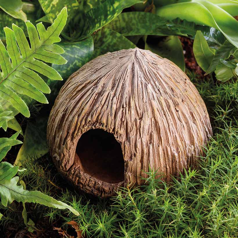 Exo Terra Coconut Cave Terrarium