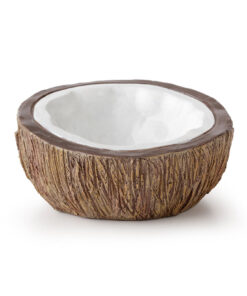 Exo Terra Coconut Water Bowl