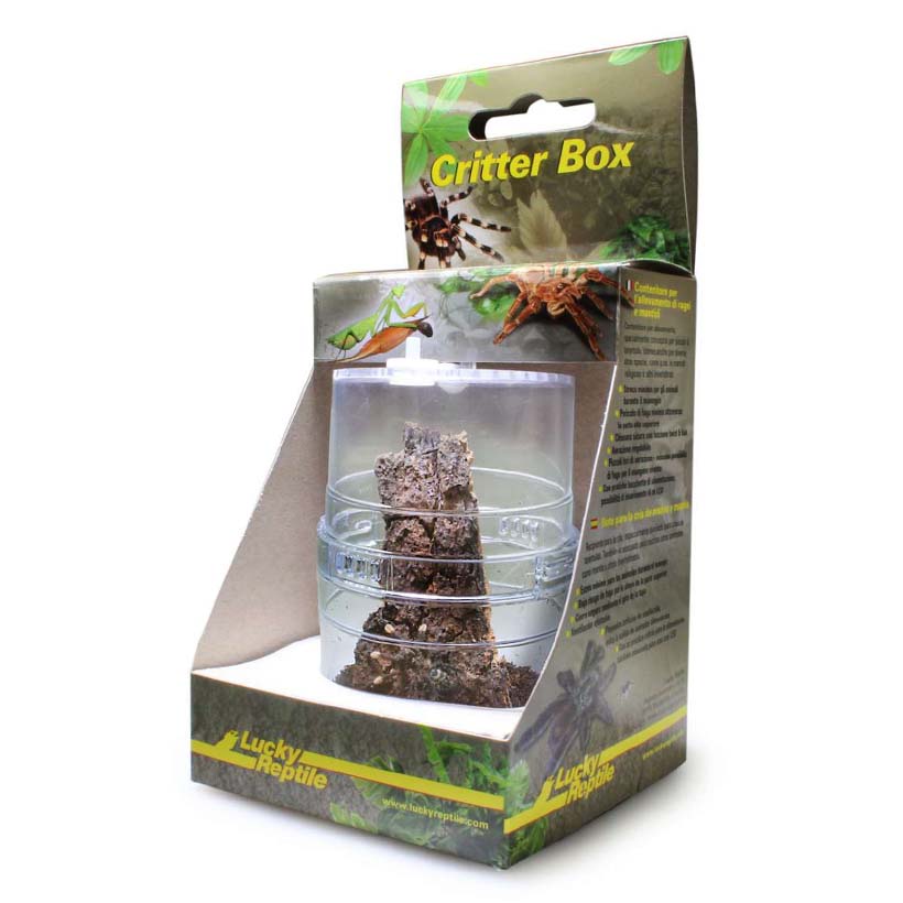 Lucky Reptile Critter Box XL- mit Stein