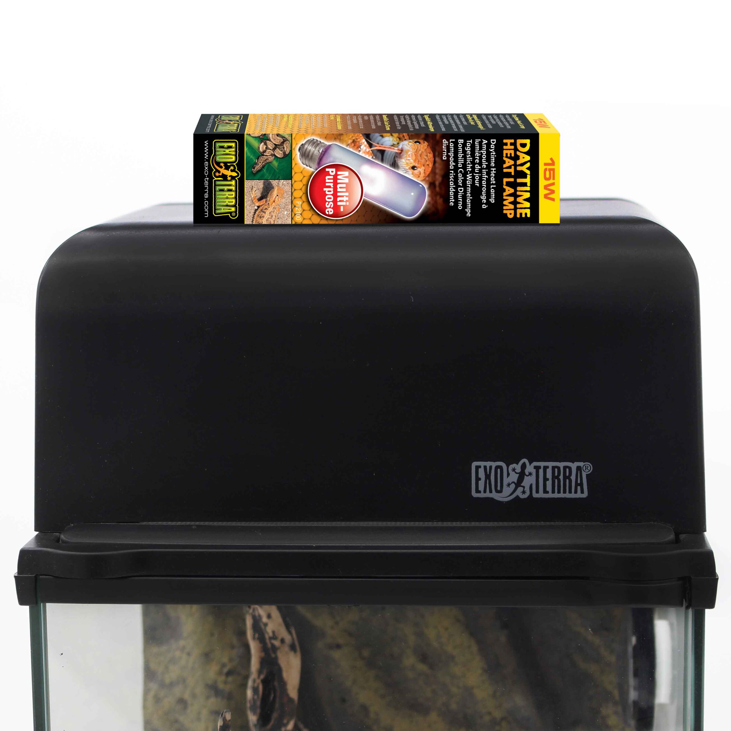 Springspinnen-Komplettset-Beleuchtung-1