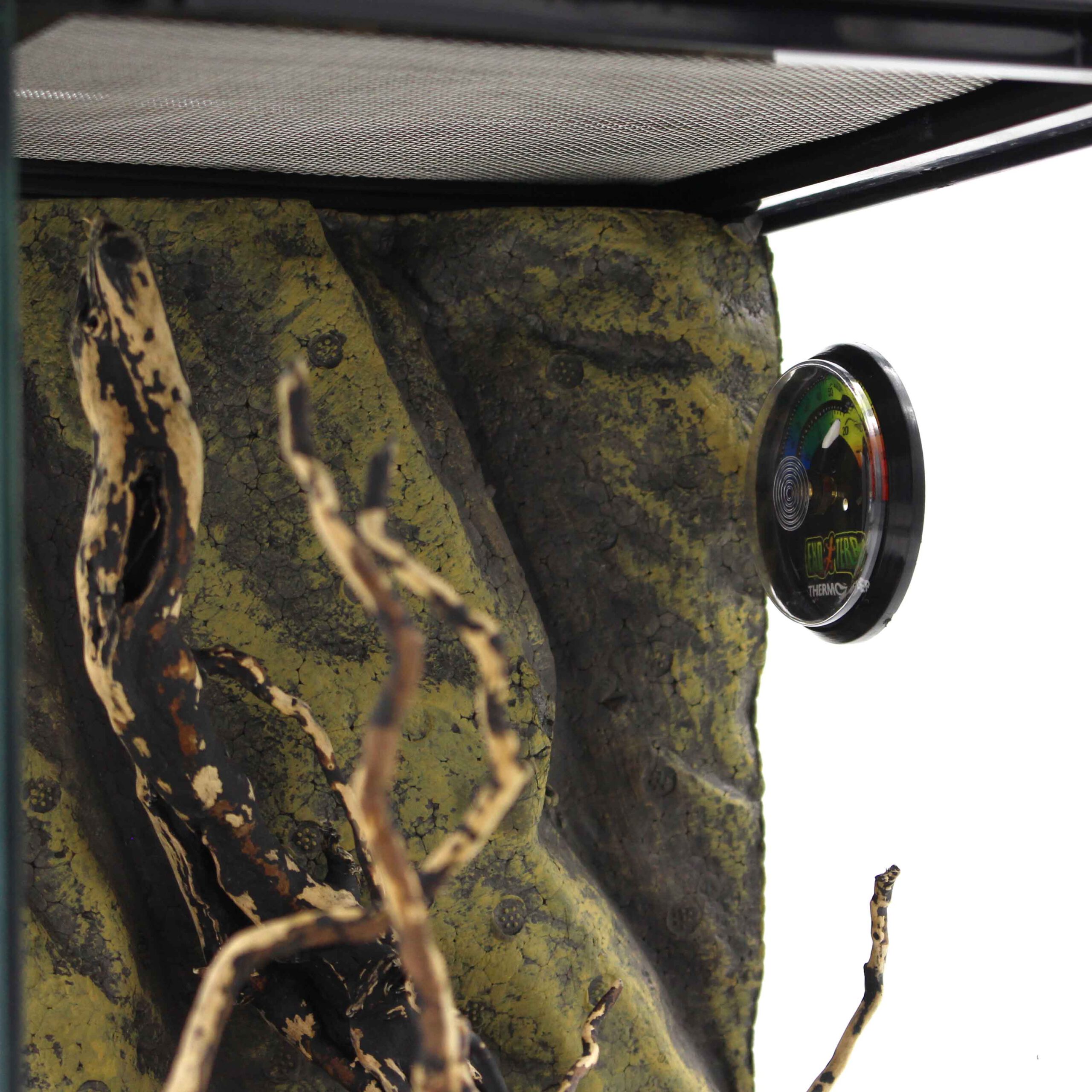 Springspinnen-Komplettset-Thermostat