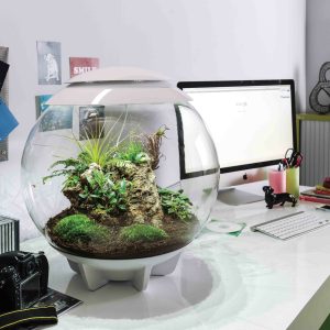 biOrb AIR 60- Schreibtich