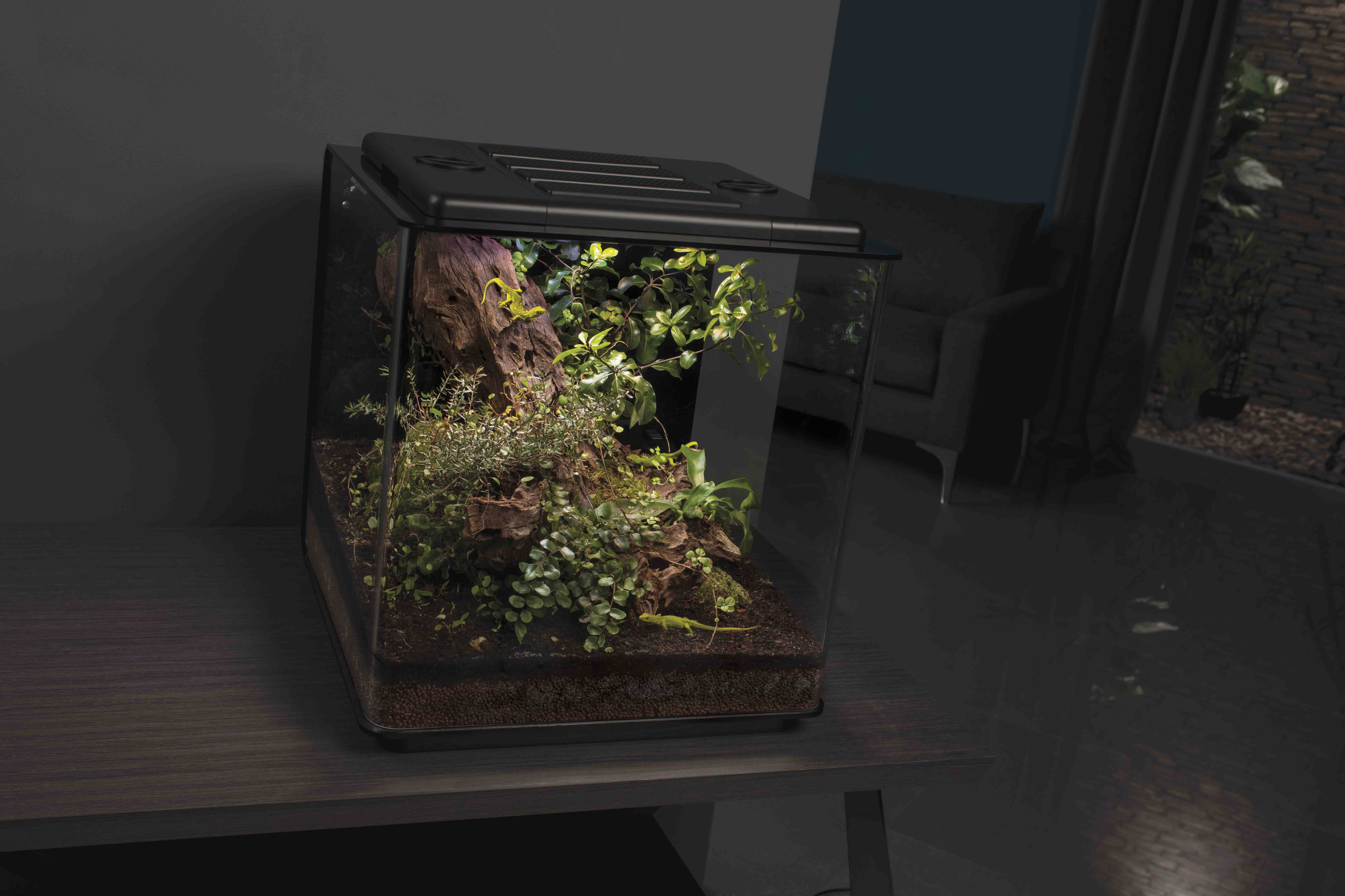 biOrb EARTH Schwarz- Regenwald