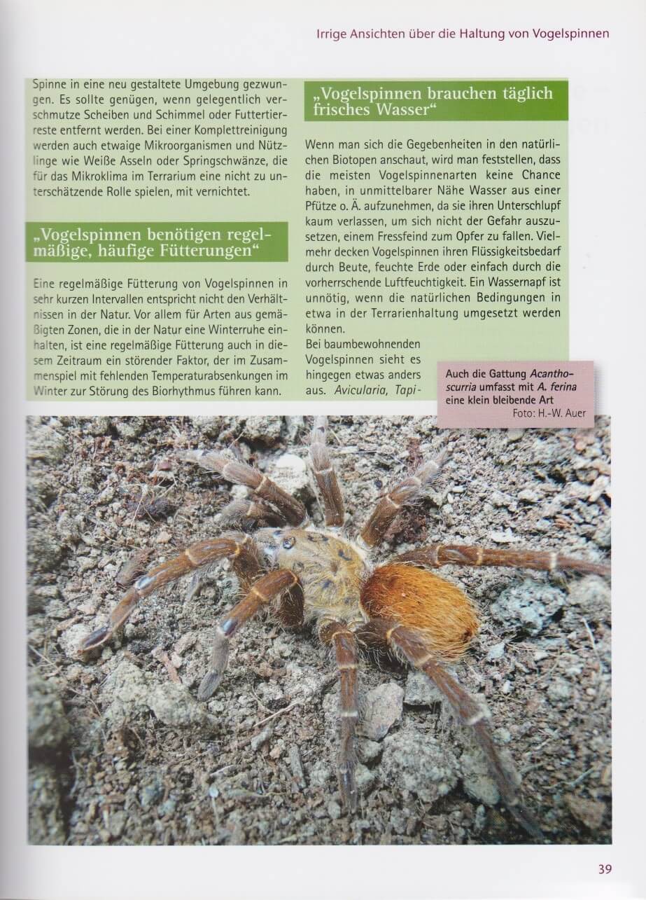 zwergvogelspinnen_9783866591646_seite_39