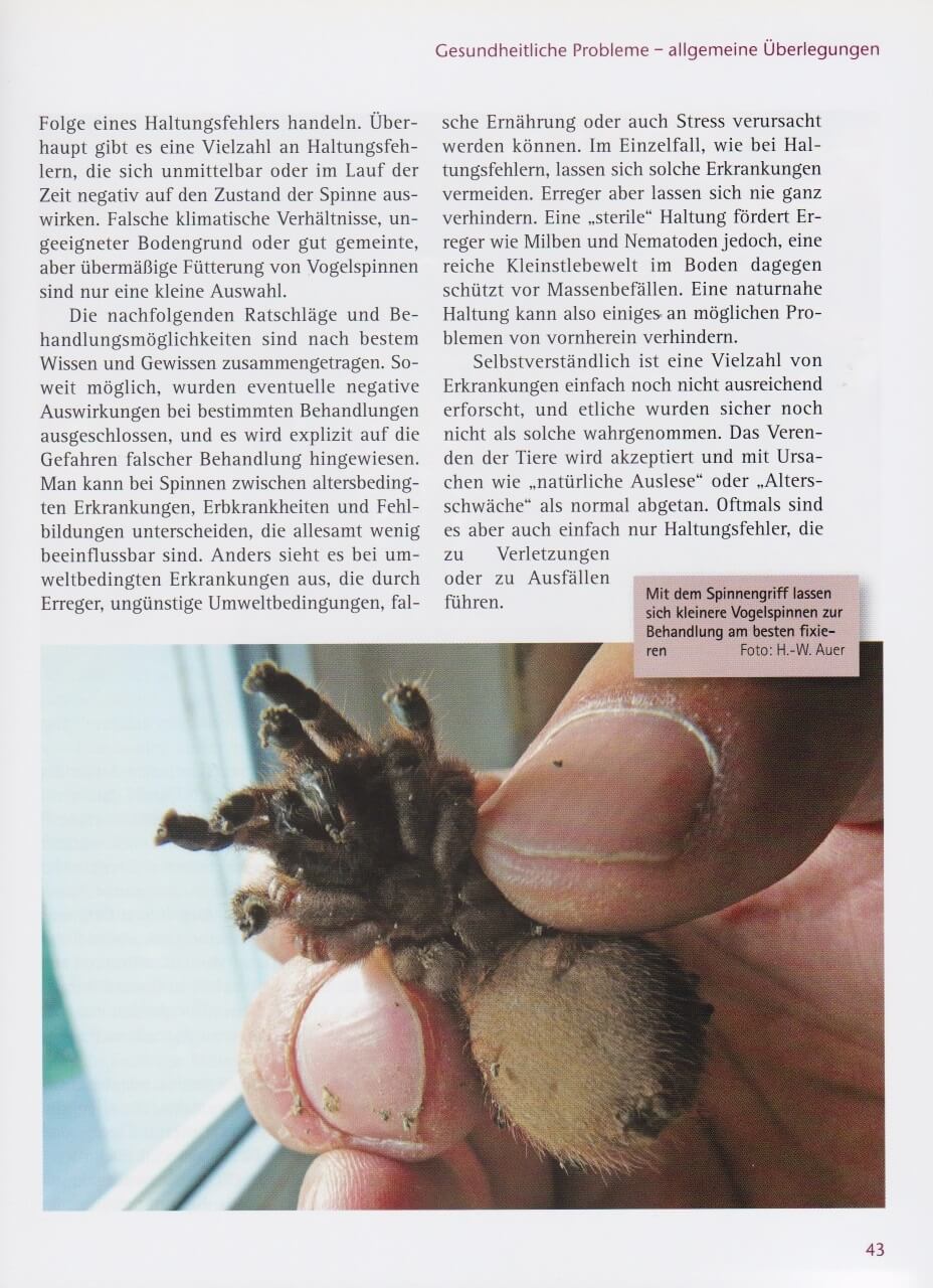 zwergvogelspinnen_9783866591646_seite_43