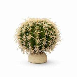 Exo Terra Goldkugelkaktus