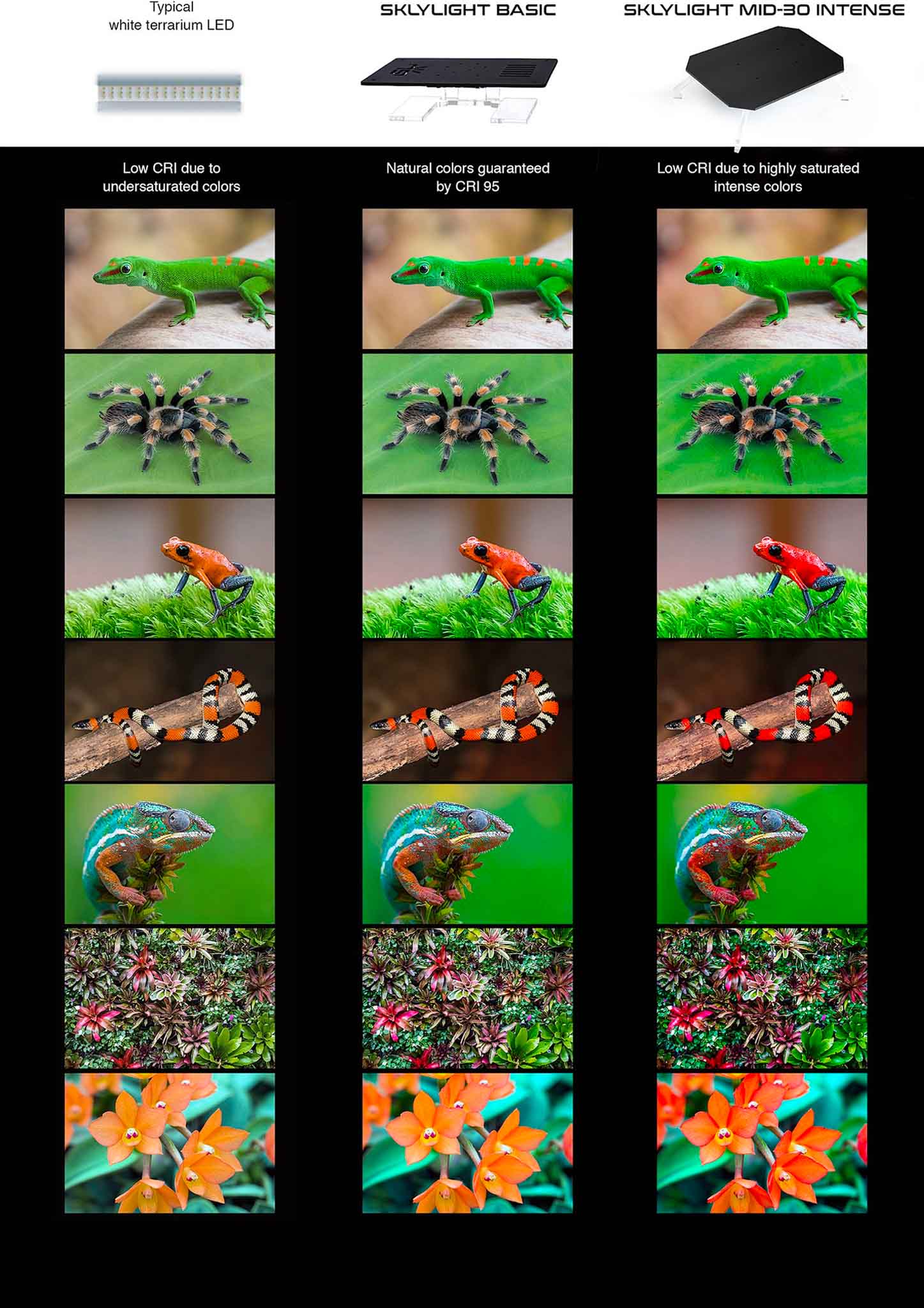 Farbspektrum-Skylight-MID-30