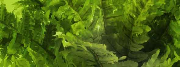 banner_ground_rainforest_plants-1