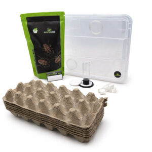 Insektenliebe complete feeding cockroach set