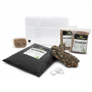 Insektenliebe Schaben-Komplettset