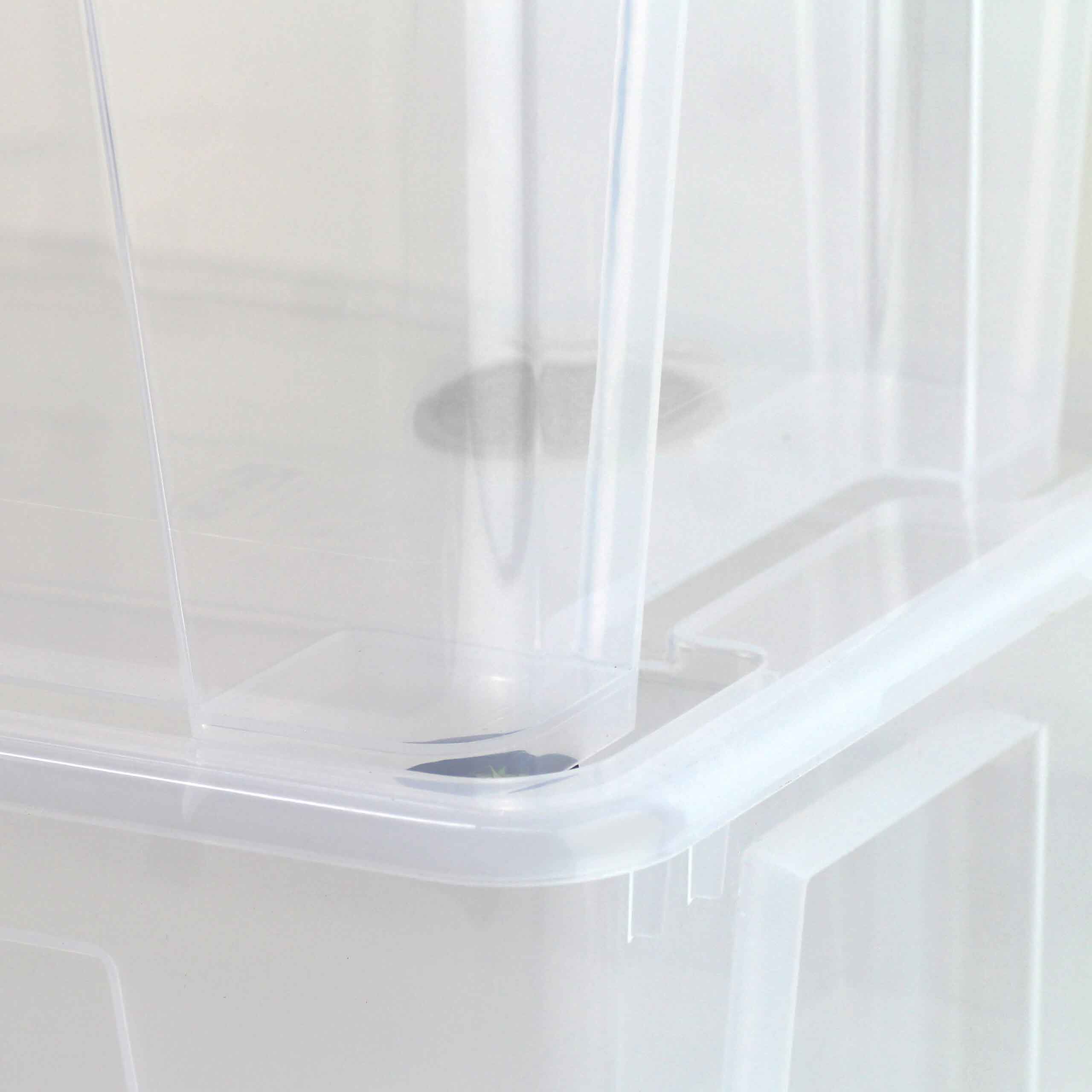 Insektenliebe-Schaben-Komplettset-gestapelt