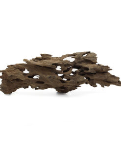 Termite Wood