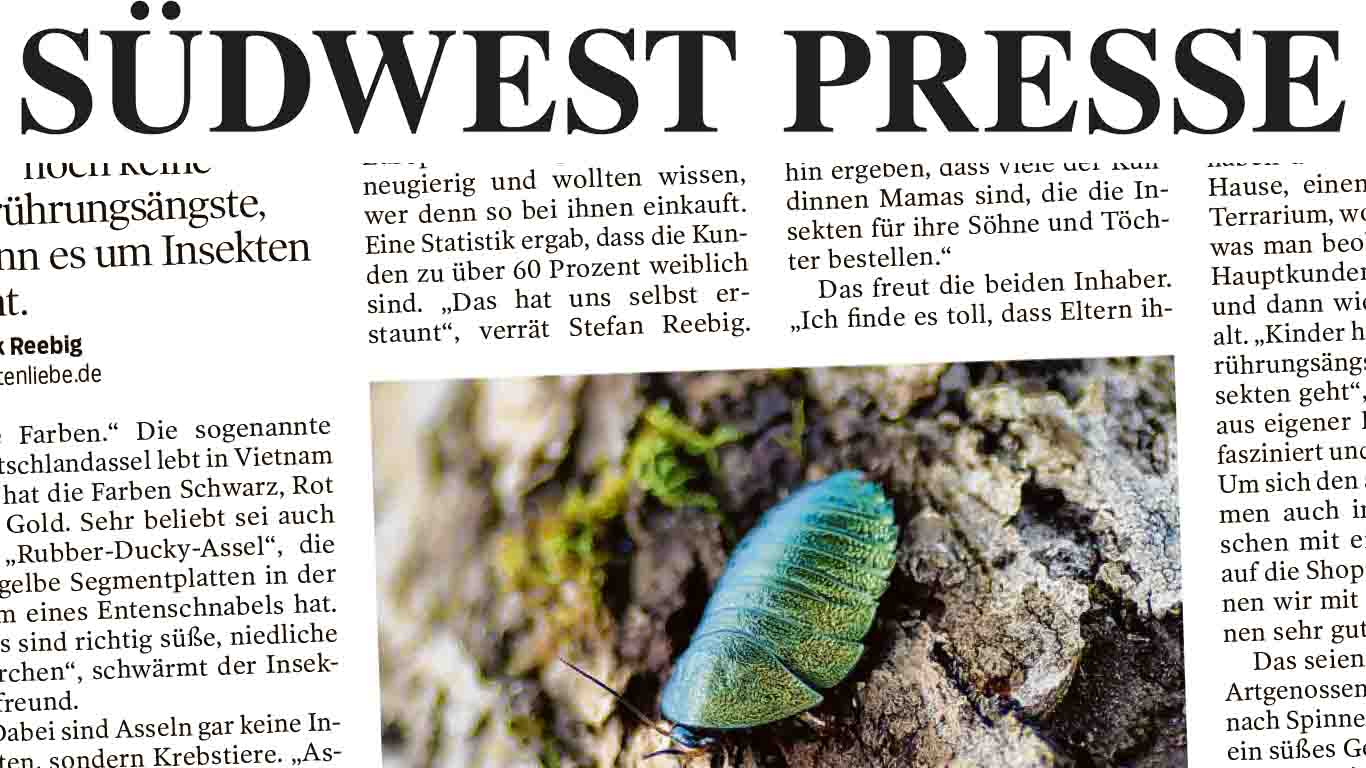 Interview Südwest Presse