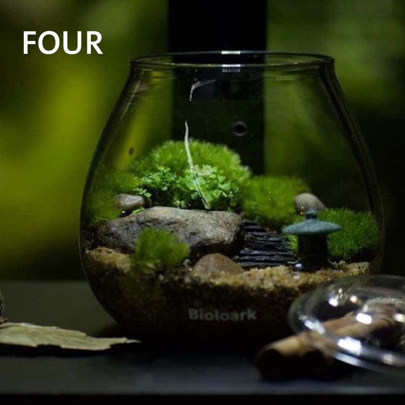 Bioloark - Bubble Cup FOUR-Moos