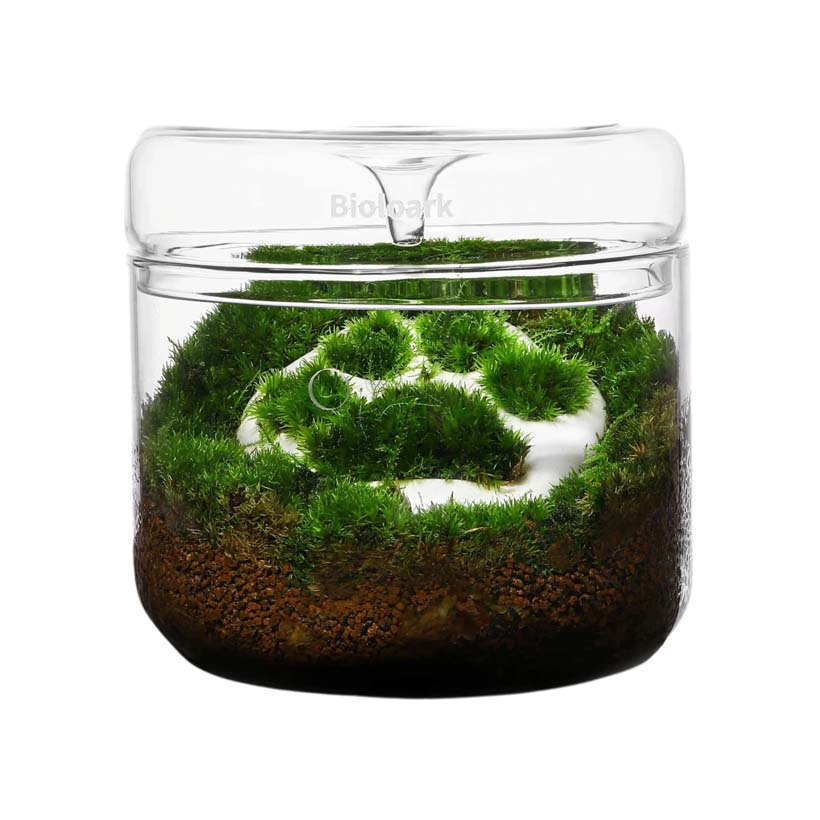 Bioloark-Luji-Glass-Cup