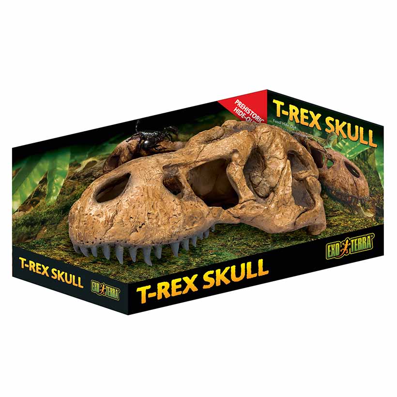 Exo Terra T-Rex Schädel-Verpackung
