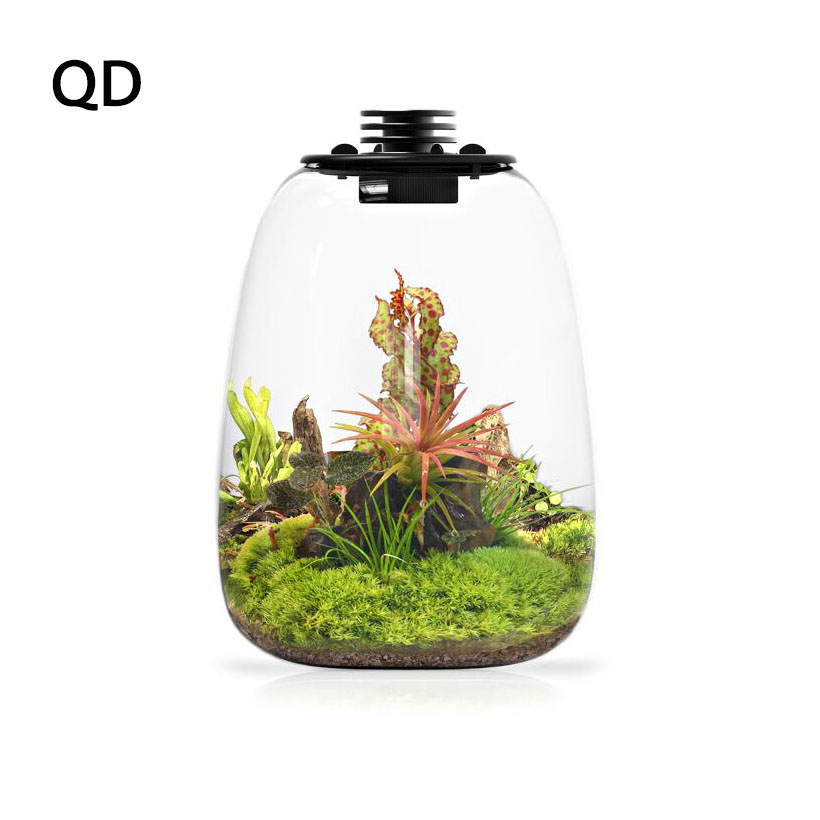 Bioloark - Bio Bottle LED QD