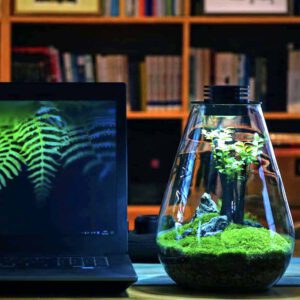 Terrarium-am-Arbeitsplatz