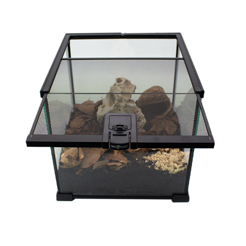 Assel-Terrarium-Komplettset-Deckel
