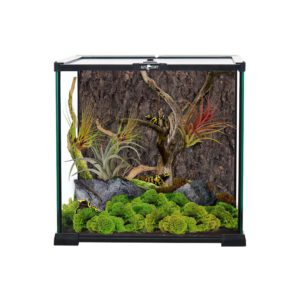 ReptiPlanet-Glasterrarium-