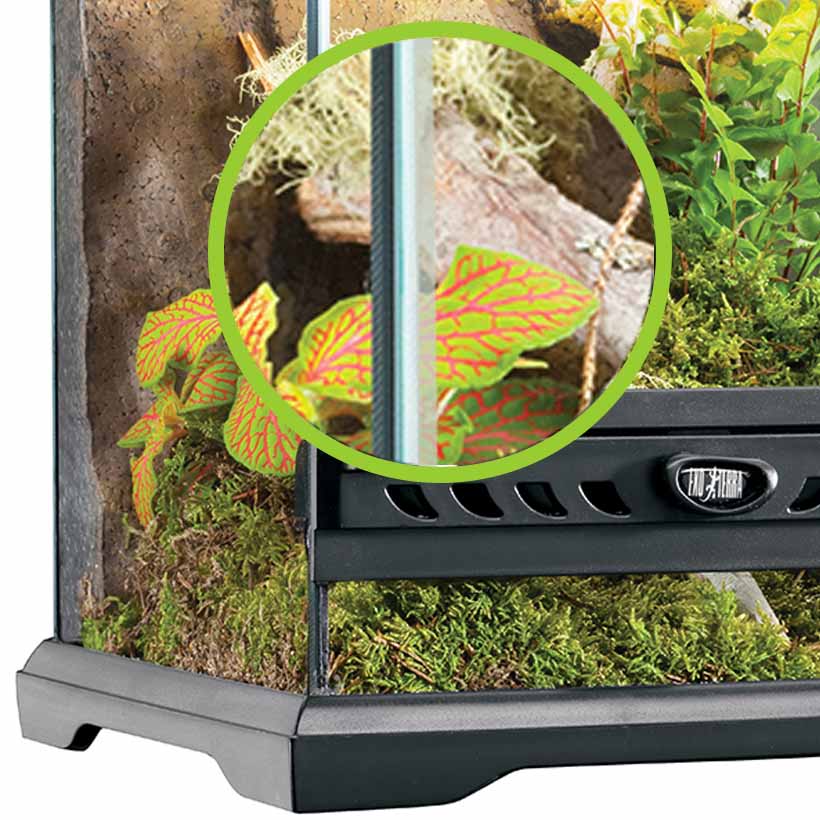 Springspinnen-Komplettset-Dichtband