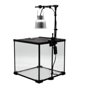 Lighting kit complete view