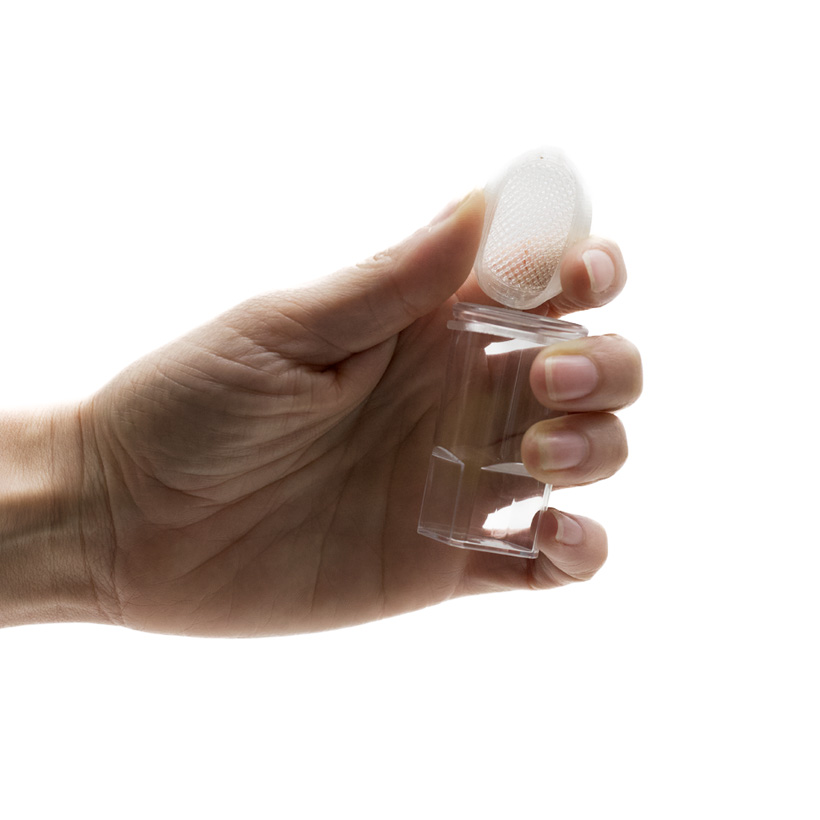 Aufzuchtdose SpiderSafe – Bild 2