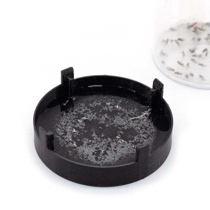 MiteEx-for-Drosophila-hydei-Instructions3-1-1