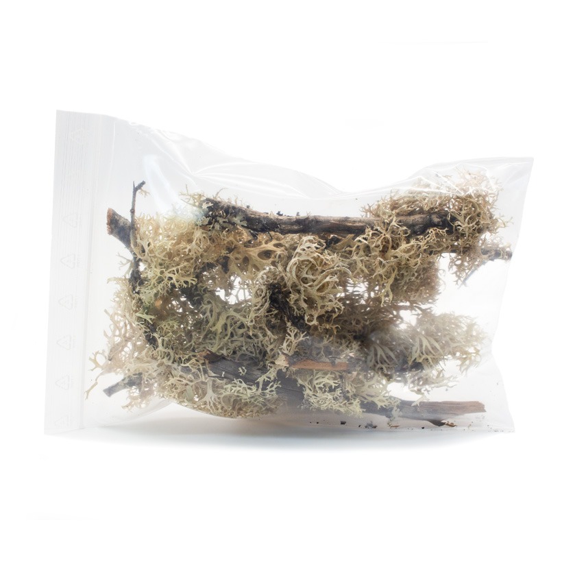 Mooszweige-1-Liter-1