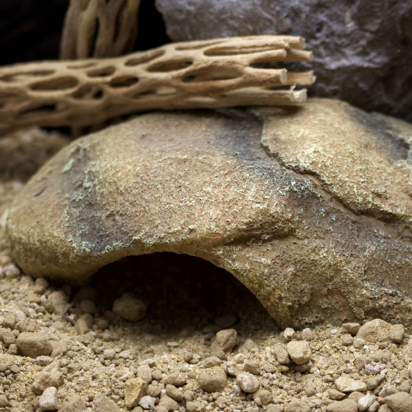 Hobby Mojave Höhle-Terrarium